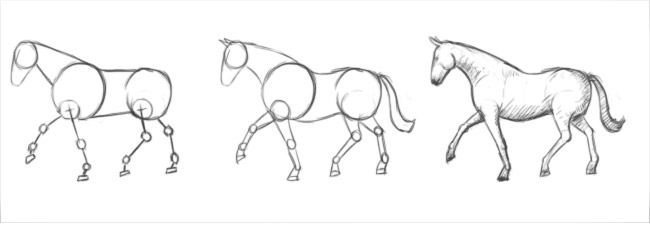 disegno corpo cavallo