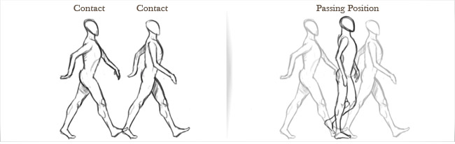 ciclo di camminata contatto posizione di passaggio